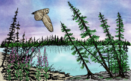 Be Giant – Drunken Forest
